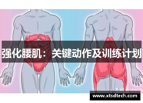 强化腰肌：关键动作及训练计划