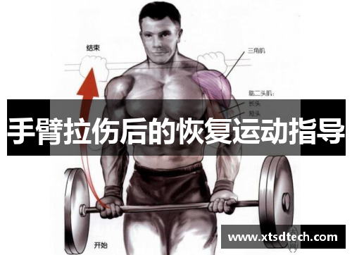 手臂拉伤后的恢复运动指导