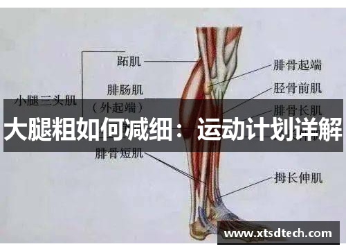 大腿粗如何减细：运动计划详解