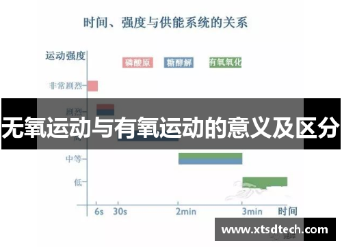 无氧运动与有氧运动的意义及区分
