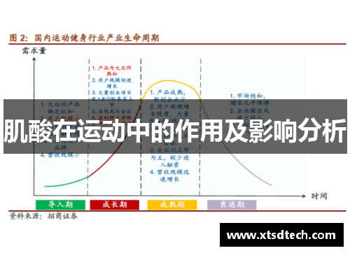 肌酸在运动中的作用及影响分析