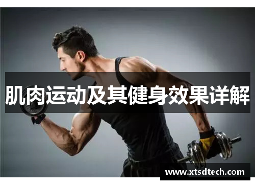 肌肉运动及其健身效果详解