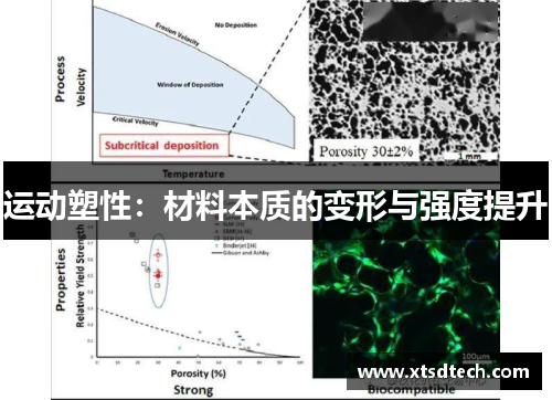 运动塑性：材料本质的变形与强度提升